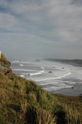 DSC_0182_resize.JPG