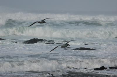 DSC_0269_resize.JPG