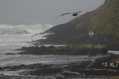 DSC_0274_resize.JPG