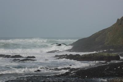 DSC_0282_resize.JPG