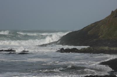 DSC_0287_resize.JPG