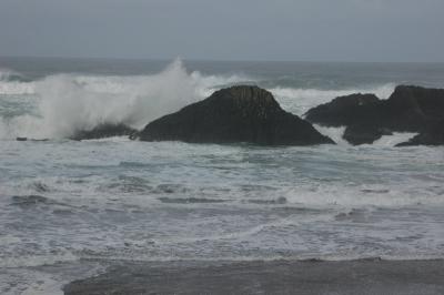 DSC_0288_resize.JPG