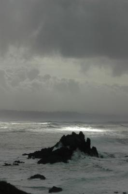 DSC_0319_resize.JPG