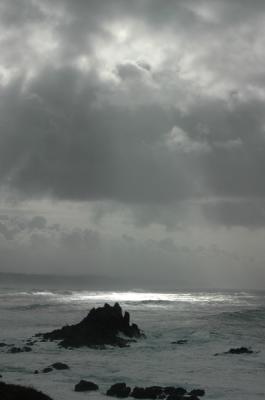 DSC_0321_resize.JPG
