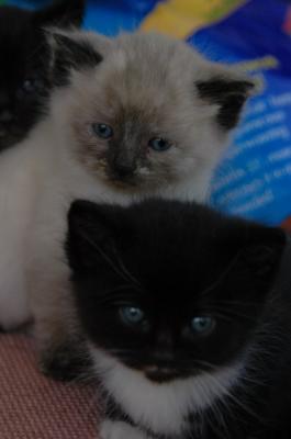 DSC_0363_resize.JPG