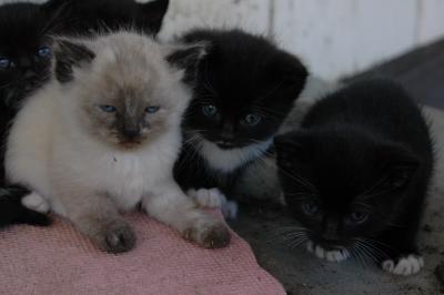 DSC_0364_resize.JPG