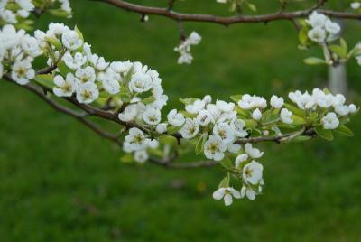 DSC_0001_resize.JPG