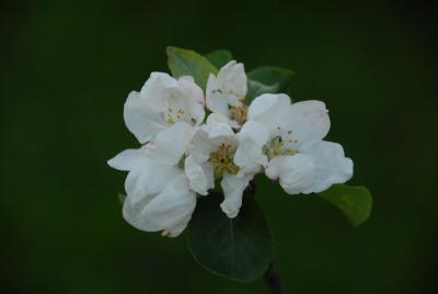 DSC_0005_resize.JPG