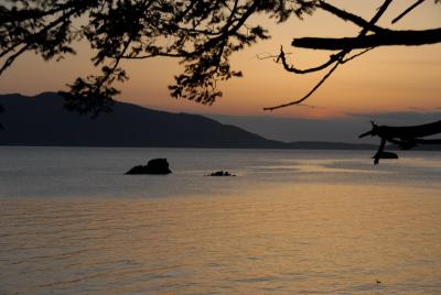 DSC_0193_resize.JPG