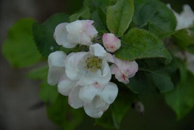 DSC_0006_resize.JPG