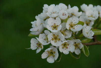 DSC_0007_resize.JPG