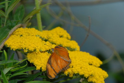 DSC_1039_resize.JPG
