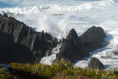 DSC_9655_resize.JPG