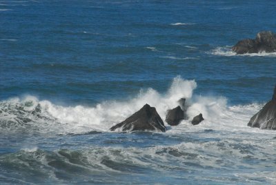 DSC_9549_resize.JPG