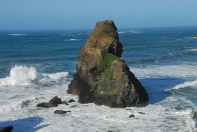 DSC_9592_resize.JPG