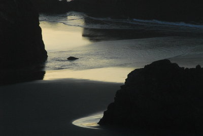 DSC_9798_resize.JPG