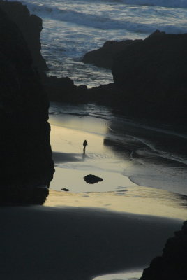 DSC_9805_resize.JPG