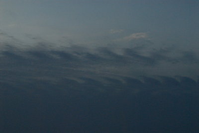 DSC_9816_resize.JPG