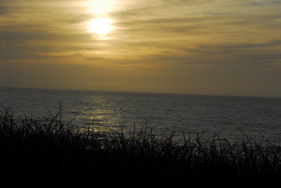 DSC_9440_resize.JPG