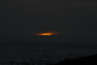DSC_9479_resize.JPG
