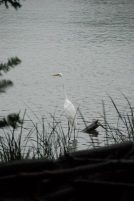 DSC_9889_resize.JPG