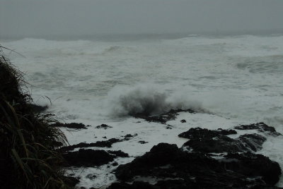 DSC_9927_resize.JPG