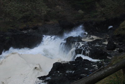 DSC_9936_resize.JPG