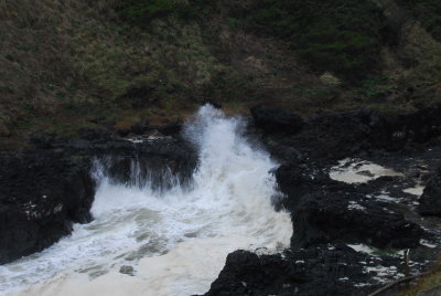 DSC_9915_resize.JPG