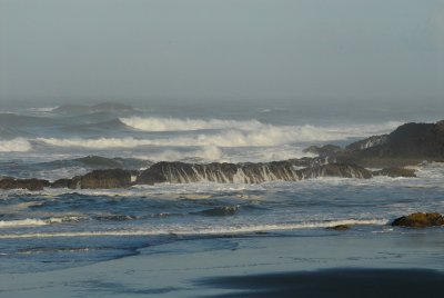 DSC_9969_resize.JPG