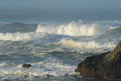 DSC_9989_resize.JPG