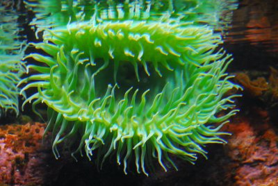 DSC_9873_resize.JPG