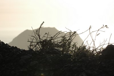 DSC_6257_resize.JPG