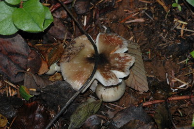 DSC_6144_resize.JPG