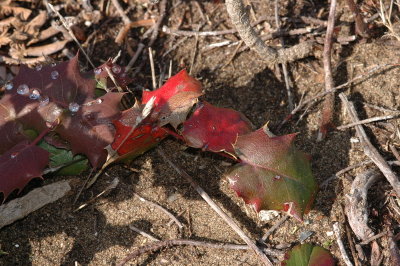 DSC_6147_resize.JPG