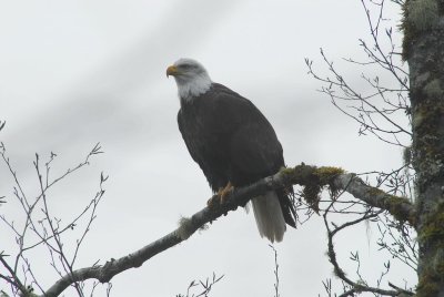 DSC_0103_resize.JPG