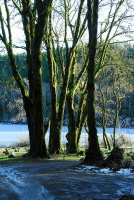 DSC_0244_resize.JPG