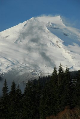 DSC_0227_resize.JPG