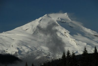 DSC_0221_resize.JPG