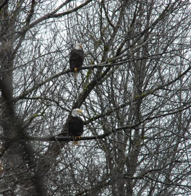 DSC_0073_resize.JPG