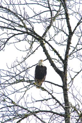 DSC_0196_resize.JPG