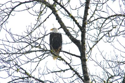 DSC_0209_resize.JPG