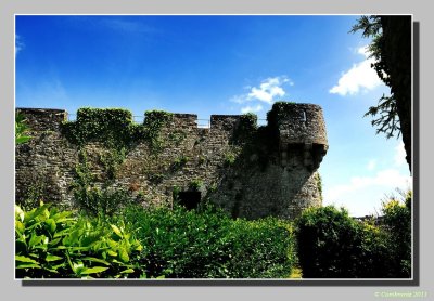 Fortifications