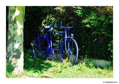 La bicyclette bleue...