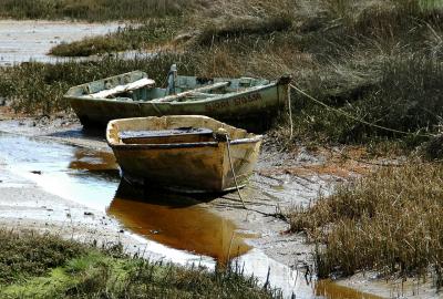 Vieilles barques