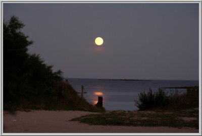 Larmor Lune