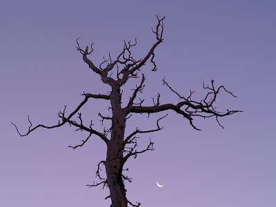 First light in camp