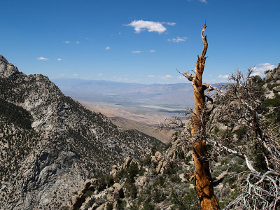 Owens Valley from Shepards Pass Trail