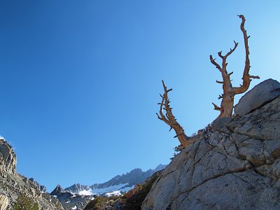 Middle Palisade (August 2011)