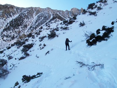 Shepherd Pass Trail