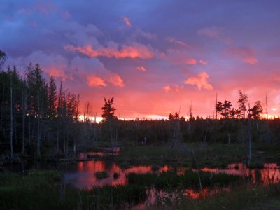 Moose pond Sunset.jpg